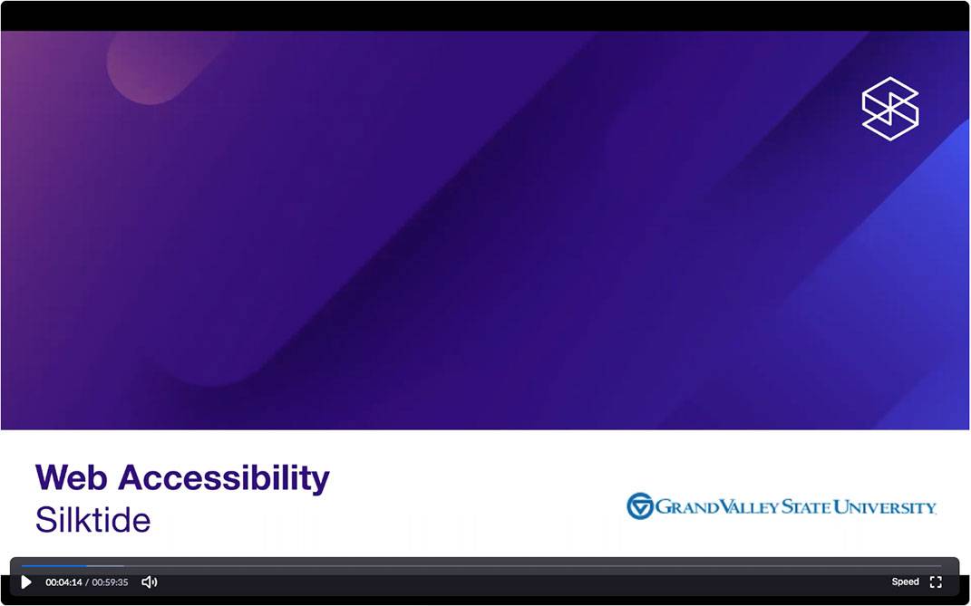 Link to Silktide Accessibility Overview Video
